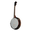 4 STRING BANJO SOLID BACK 17 FRET, 4 STRING TENOR BANJO SHORT SCALE
