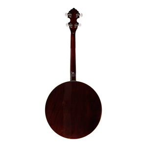 4 STRING BANJO SOLID BACK 17 FRET, 4 STRING TENOR BANJO SHORT SCALE