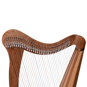 36 STRING ARD RI HARP WALNUT