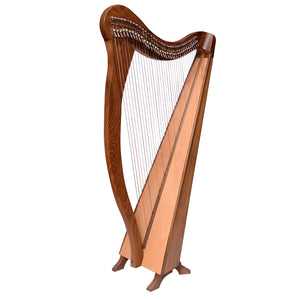 36 STRING ARD RI HARP WALNUT