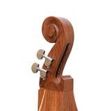 4 STRING MOUNTAIN DULCIMER F-HOLE ROSEWOOD WITH NICKEL FINISH HARDWARE