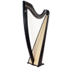 CAMAC CLASSICAL ISOLDE 38 FLUOROCARBON STRINGS IN BLACK