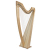 CAMAC CLASSICAL ISOLDE 38 FLUOROCARBON STRINGS IN MAPLE