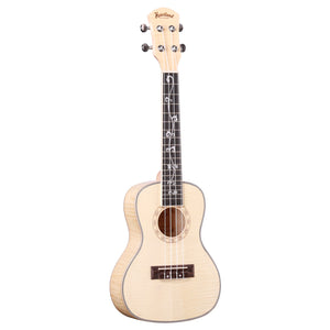 CONCERT UKULELE FLAMED MAPLE