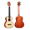 CONCERT UKULELE MAHOGANY WITH EQ