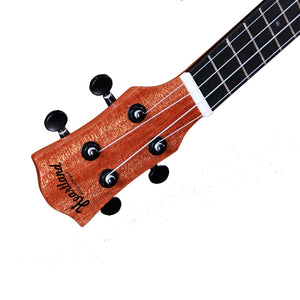 CONCERT UKULELE MAHOGANY WITH EQ