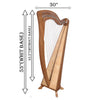 MCHUGH HARP 38 STRING IN WALNUT WOOD ROUND BACK