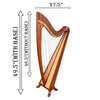 34 STRING CLADDAGH HARP ROSEWOOD
