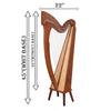 29 STRING TRINITY HARP ROSEWOOD
