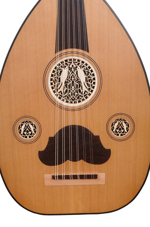 HEARTLAND ARABIC OUD DELUXE, 12 STRINGS WENGE