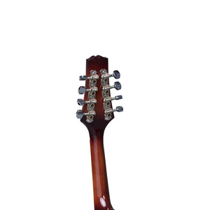 HEARTLAND MANDOLIN LINDEN ACOUSTIC MATT FINISH