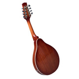 HEARTLAND MANDOLIN MAHOGANY ELECTRO ACOUSTIC GLOSS FINISH