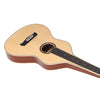 HEARTLAND WEISSENBORN GUITAR THE SESSION MASTER