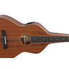 HEARTLAND WEISSENBORN GUITAR - THE STAGE MASTER