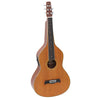 HEARTLAND WEISSENBORN GUITAR - THE WORK HORSE