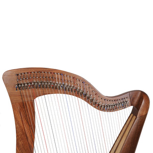 MCHUGH HARP 38 STRING IN WALNUT WOOD ROUND BACK