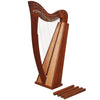 MCHUGH HARP 20 NYLON STRING IN ROSEWOOD FLATBACK
