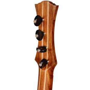 HEARTLAND WILDWOOD DULCIMER BANJO, 4 STRING VARIEGATED ROSEWOOD LACEWOOD