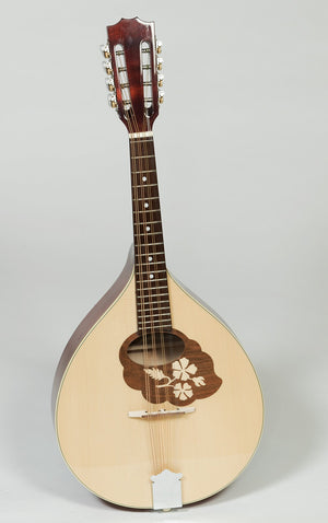 MUZIKOR MANDOLA