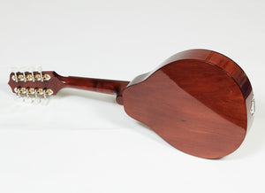 MUZIKOR MODERN MANDOLIN