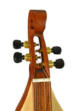 4 STRING MOUNTAIN DULCIMER KNOTWORK SCROLL ROSEWOOD