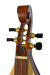 4 STRING MOUNTAIN DULCIMER F-HOLE ROSEWOOD