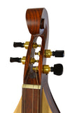 4 STRING MOUNTAIN DULCIMER F-HOLE ROSEWOOD