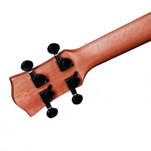 HEARTLAND TENOR UKULELE MAHOGANY WITH EQ