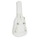 HEARTLAND WEISSENBORN GUITAR THE SESSION MASTER